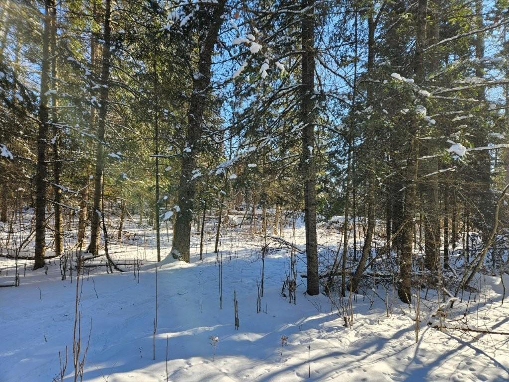 21601 300th Street Bagley, MN 56621 - Photo 75 of 82