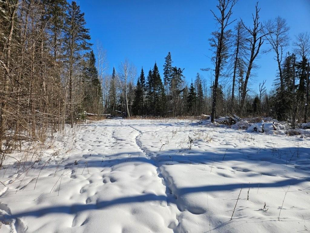 21601 300th Street Bagley, MN 56621 - Photo 76 of 82