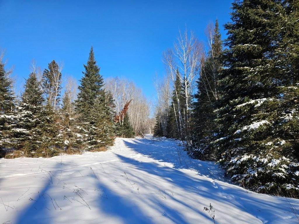 21601 300th Street Bagley, MN 56621 - Photo 77 of 82