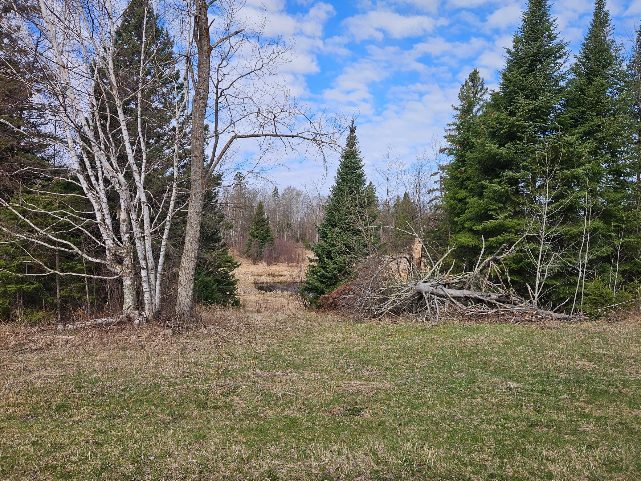 21601 300th Street Bagley, MN 56621 - Photo 80 of 90