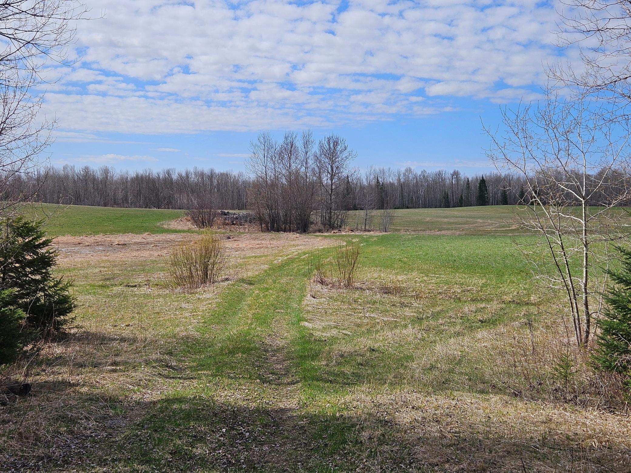 21601 300th Street Bagley, MN 56621 - Photo 85 of 90