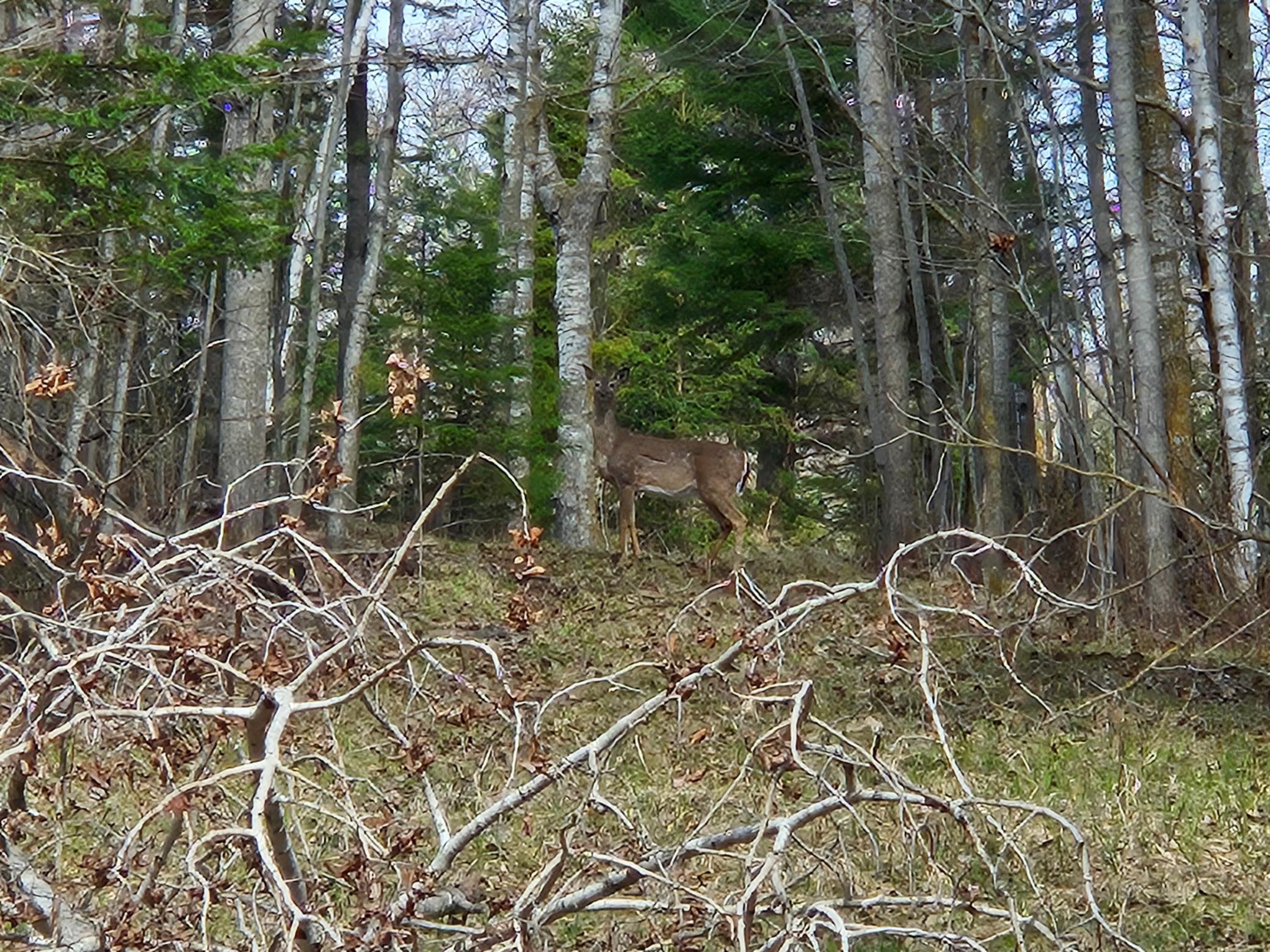 21601 300th Street Bagley, MN 56621 - Photo 89 of 90