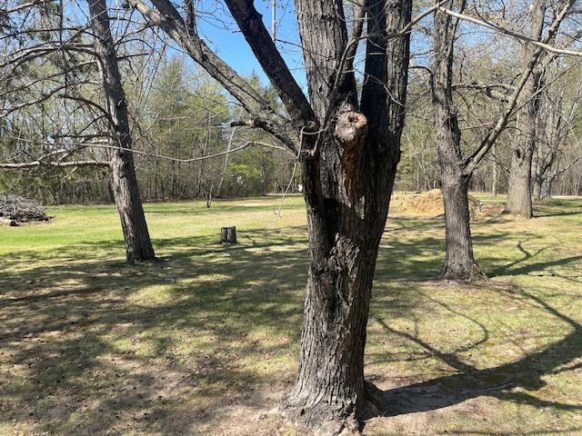 7096 Fairview Road North Baxter, MN 56425 - Photo 12 of 33