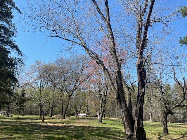 7096 Fairview Road North Baxter, MN 56425 - Photo 20 of 33