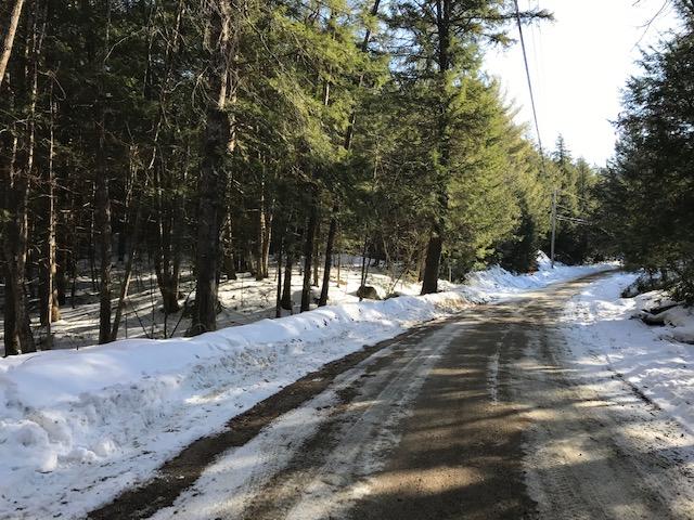 0 Saddleback Road East Baldwin, ME 04024 - Photo 6 of 23 IMG_4634