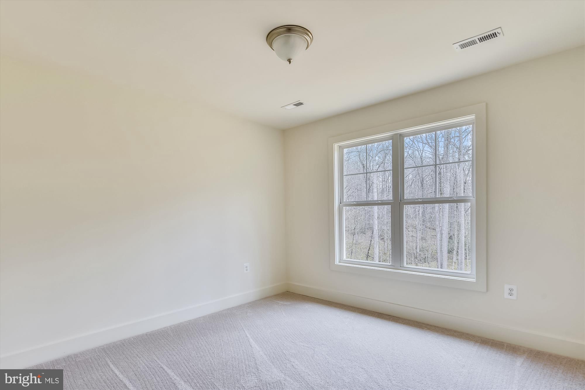 12543 Scotts Mill Road Culpeper, VA 22701 - Photo 28 of 51 Gallery Image 28