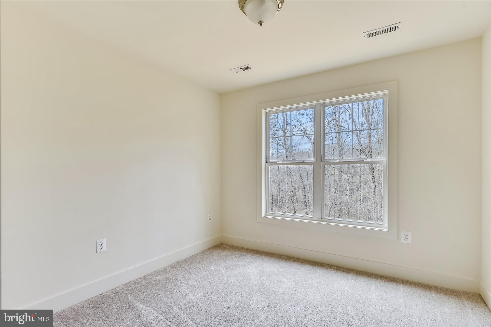 12543 Scotts Mill Road Culpeper, VA 22701 - Photo 29 of 51 Gallery Image 29