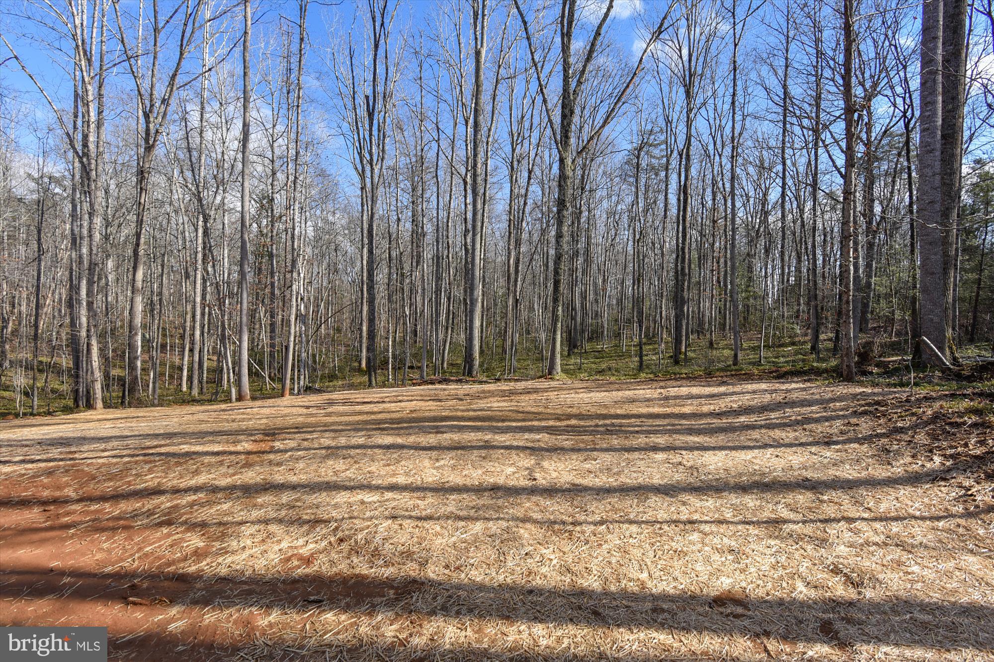 12543 Scotts Mill Road Culpeper, VA 22701 - Photo 47 of 51 Gallery Image 47