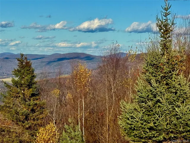 $525,000 | 670 Mary's Way, Walton, NY 13856