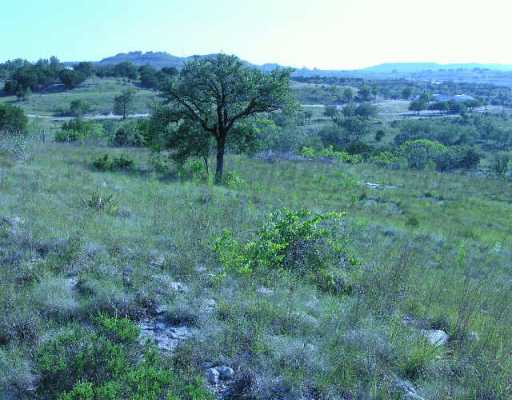 Lot 23 Stanton Ranch Loop Johnson City, TX 78636 - Photo 1 of 1 a view of a lush green field