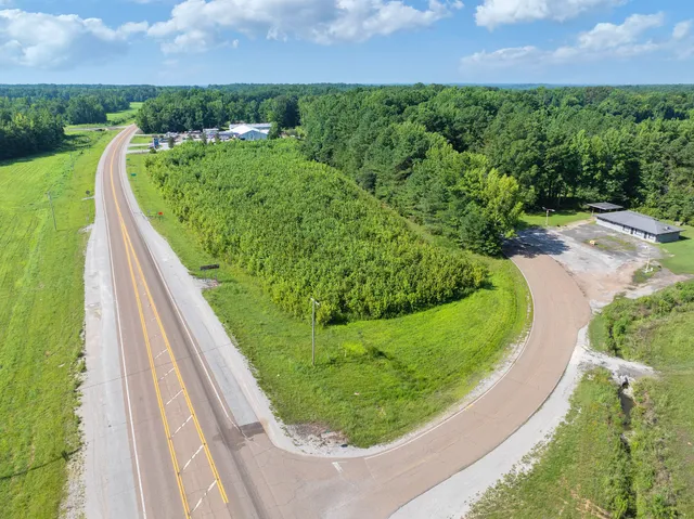 a view of a road with plants and trees