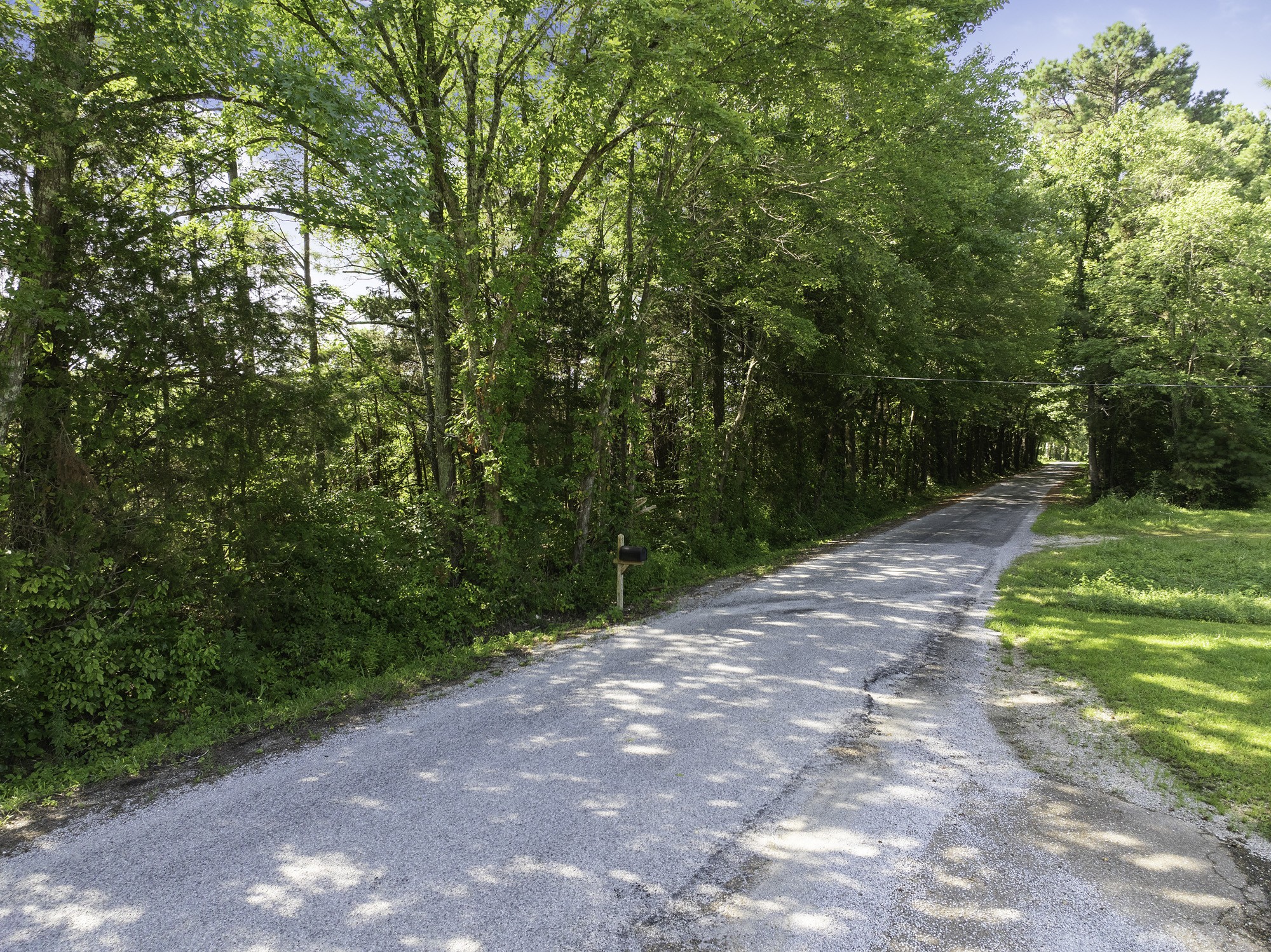 0 Spence Store Loop Holladay, TN 38341 - Photo 12 of 15 a view of a street with a yard