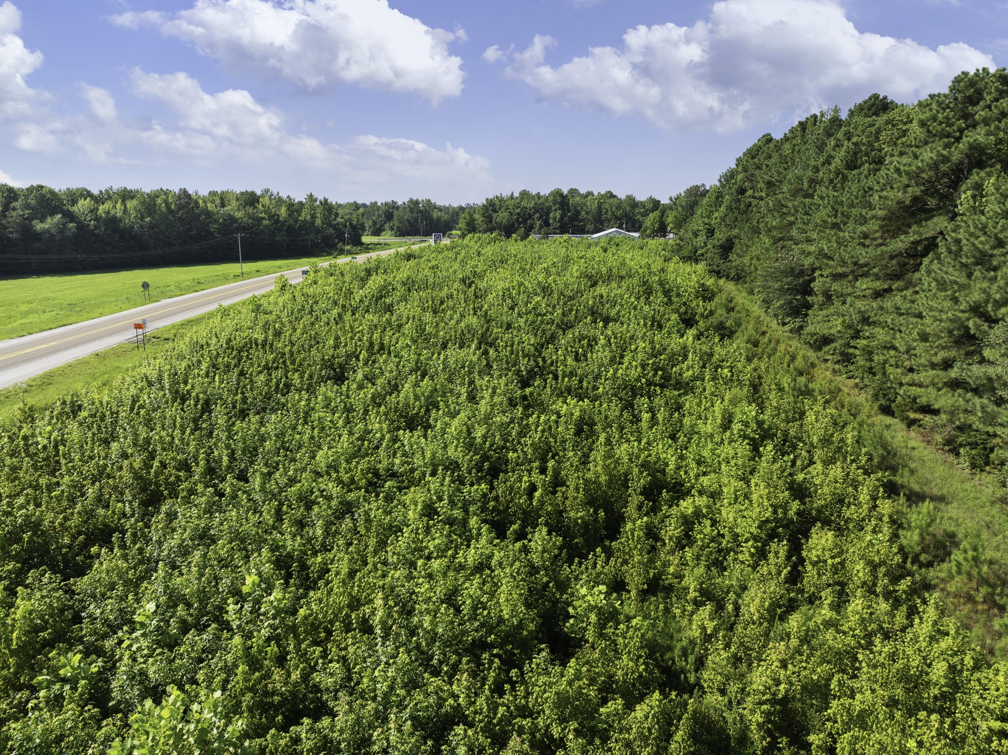 0 Spence Store Loop Holladay, TN 38341 - Photo 14 of 15 a view of outdoor space and mountain view