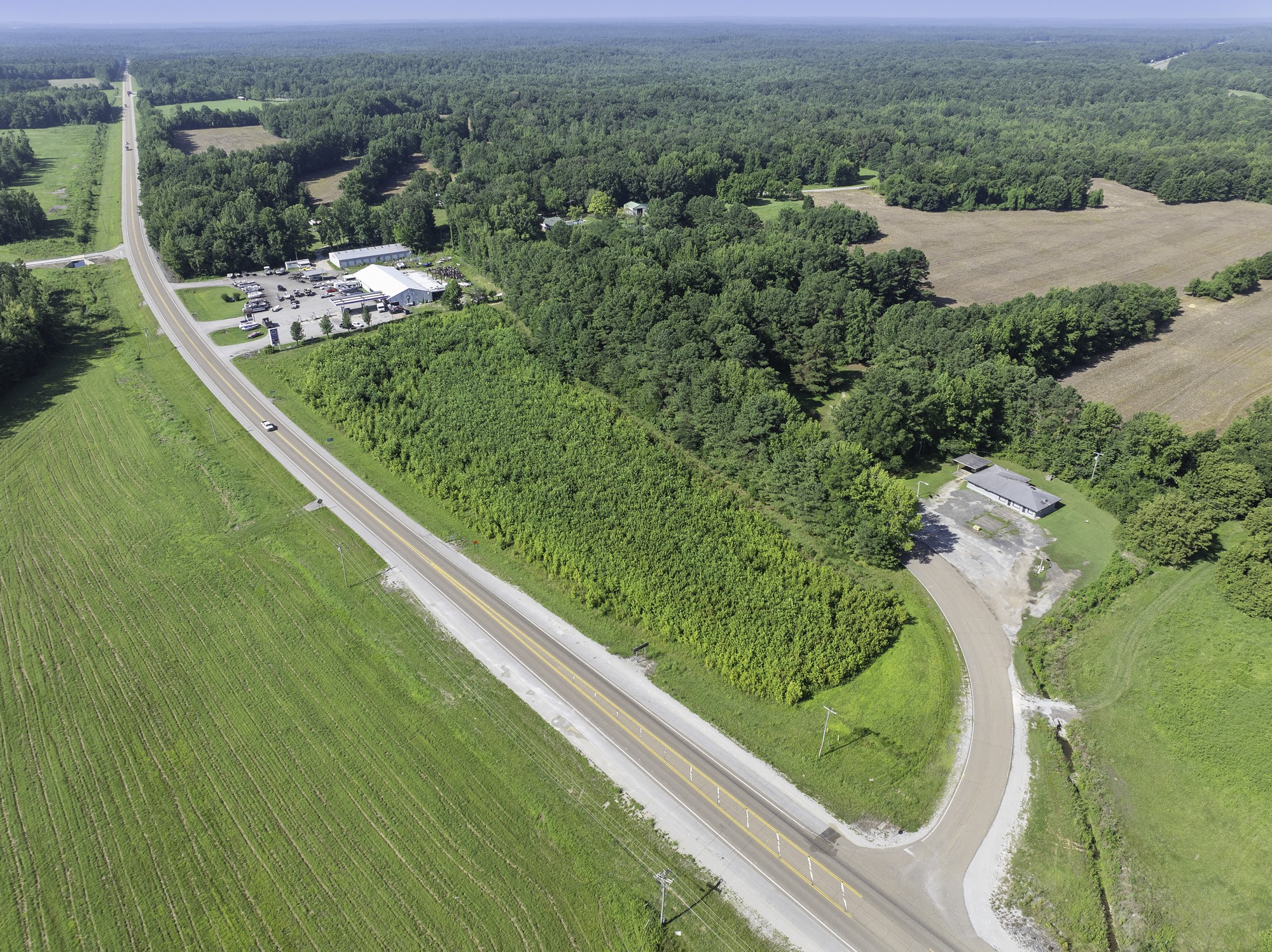 0 Spence Store Loop Holladay, TN 38341 - Photo 3 of 15 a view of a yard with potted plants