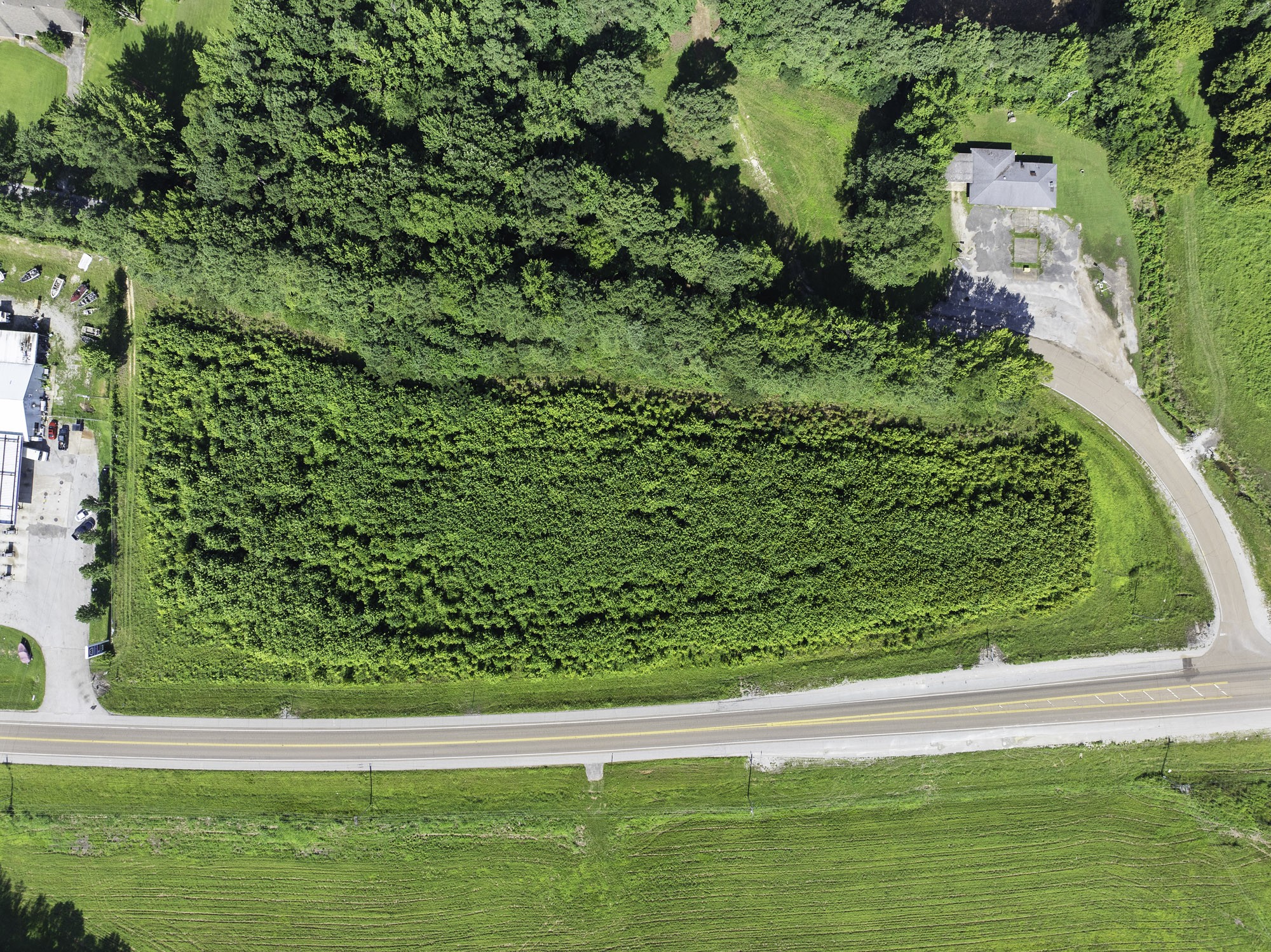 0 Spence Store Loop Holladay, TN 38341 - Photo 7 of 15 a view of yard with green space