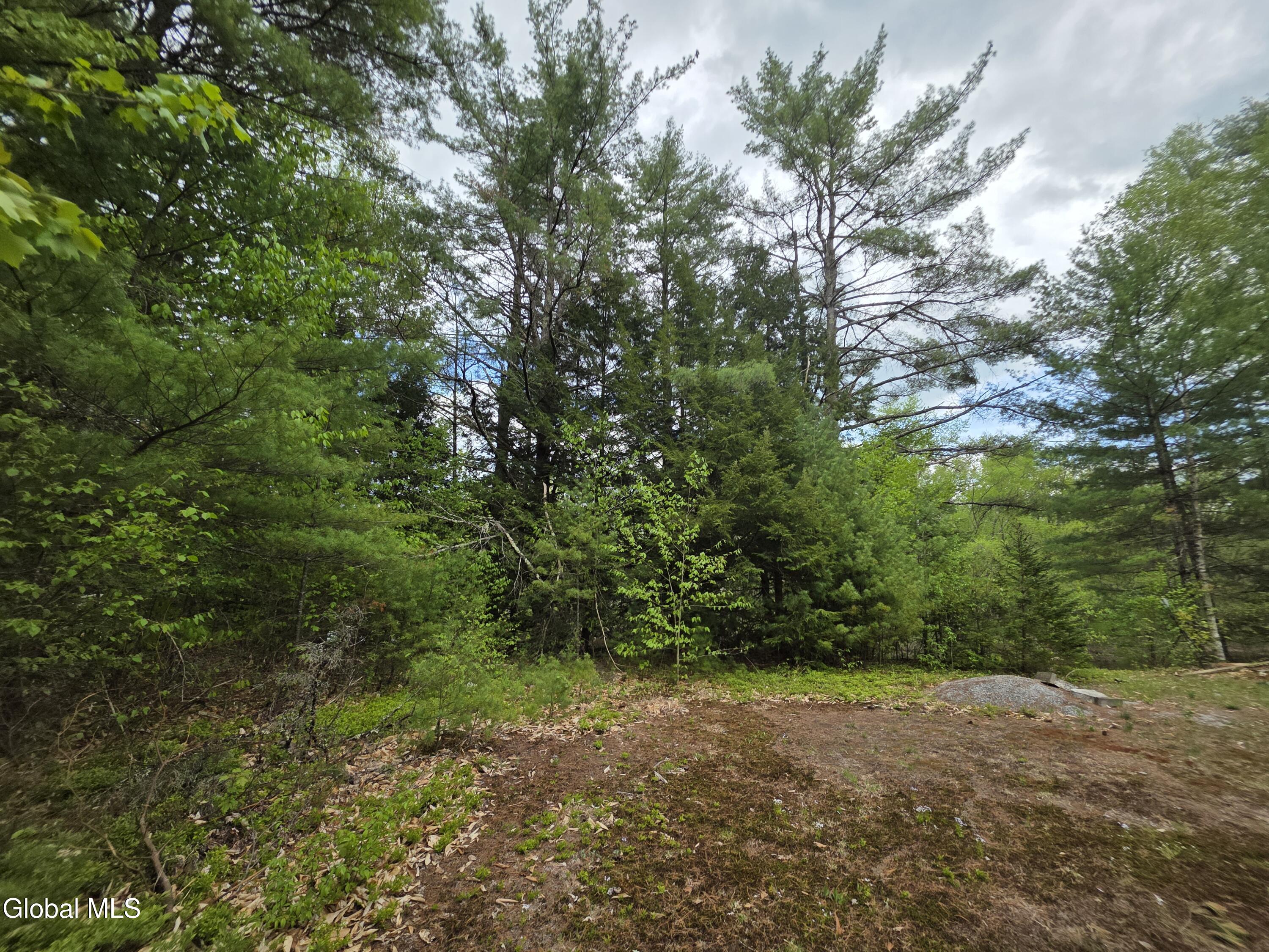 L32 Schroon River Road Warrensburg, NY 12885 - Photo 18 of 18 20260519_133715