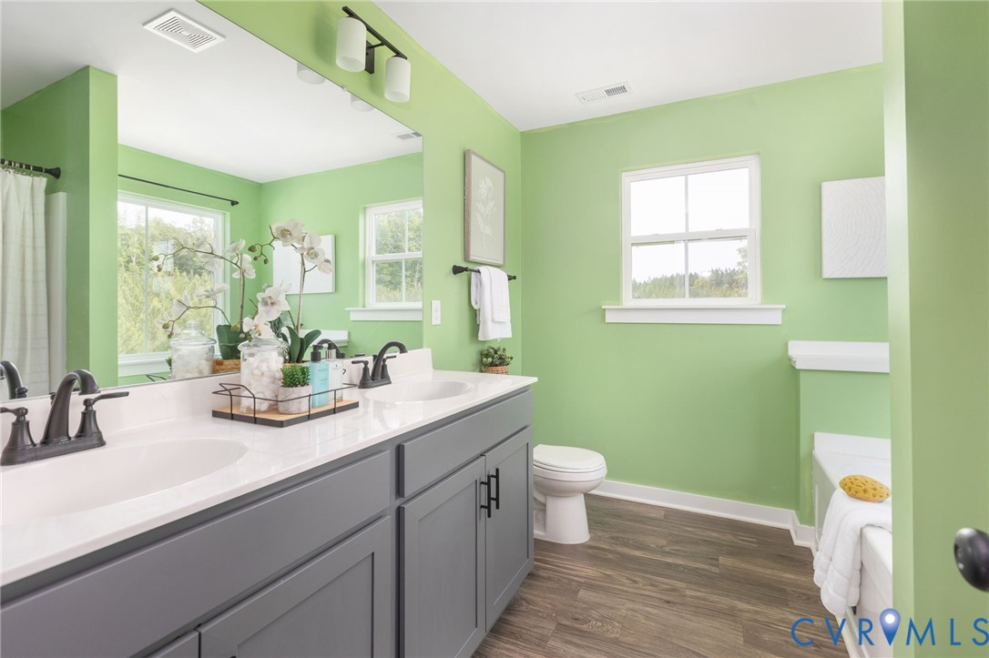 1775 West Old Mountain Road Louisa, VA 23093 - Photo 15 of 31 With double vanity and Garden tub - the perfect pl