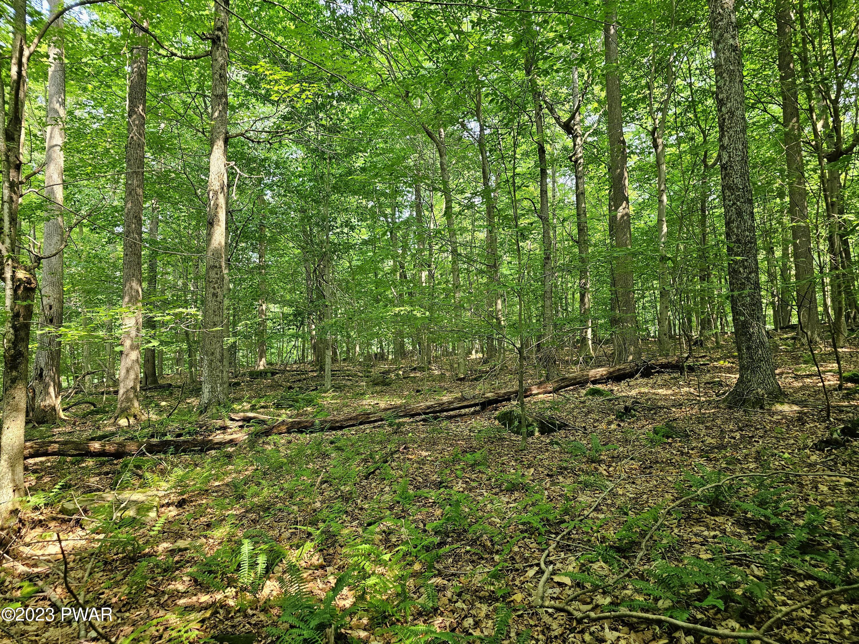 Lot 61 Rock Run Road Damascus, PA 18415 - Photo 22 of 56