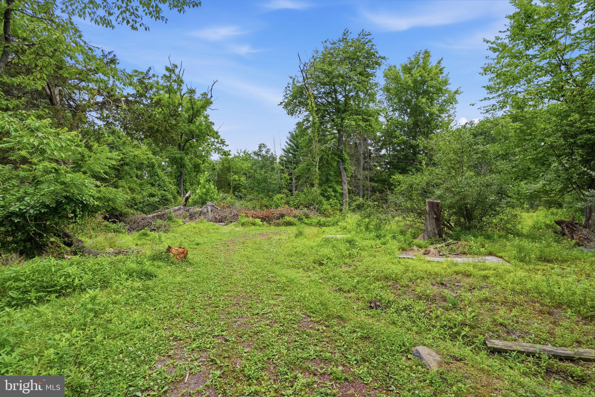 136 Rocktown-lamb Road Lambertville, NJ 08530 - Photo 101 of 107