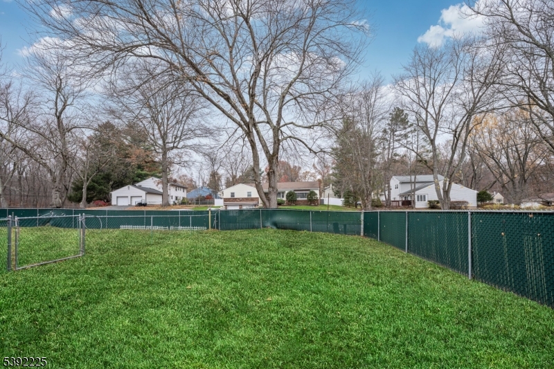 255 Knoll Road Lake Hiawatha, NJ 07034 - Photo 32 of 32 a view of a garden with trees