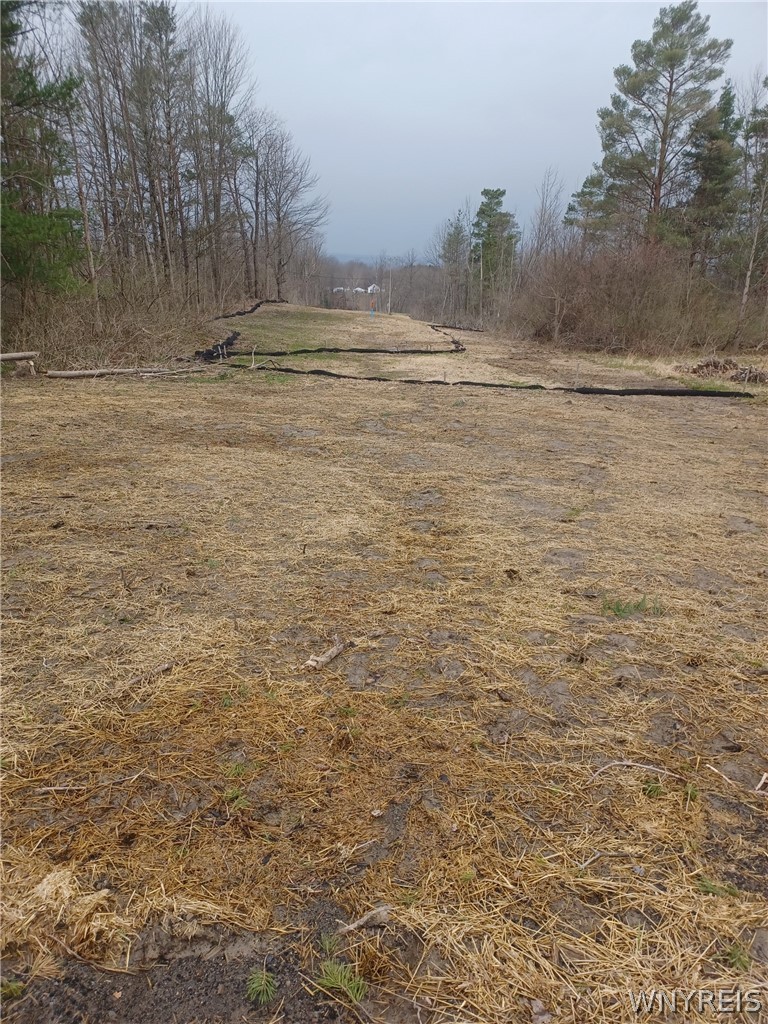 Wilson Road Collins, NY 14034 - Photo 3 of 4