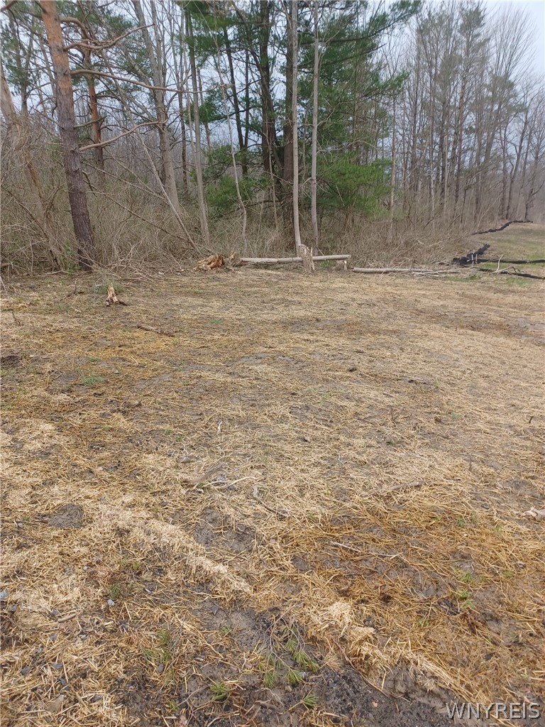 Wilson Road Collins, NY 14034 - Photo 4 of 4