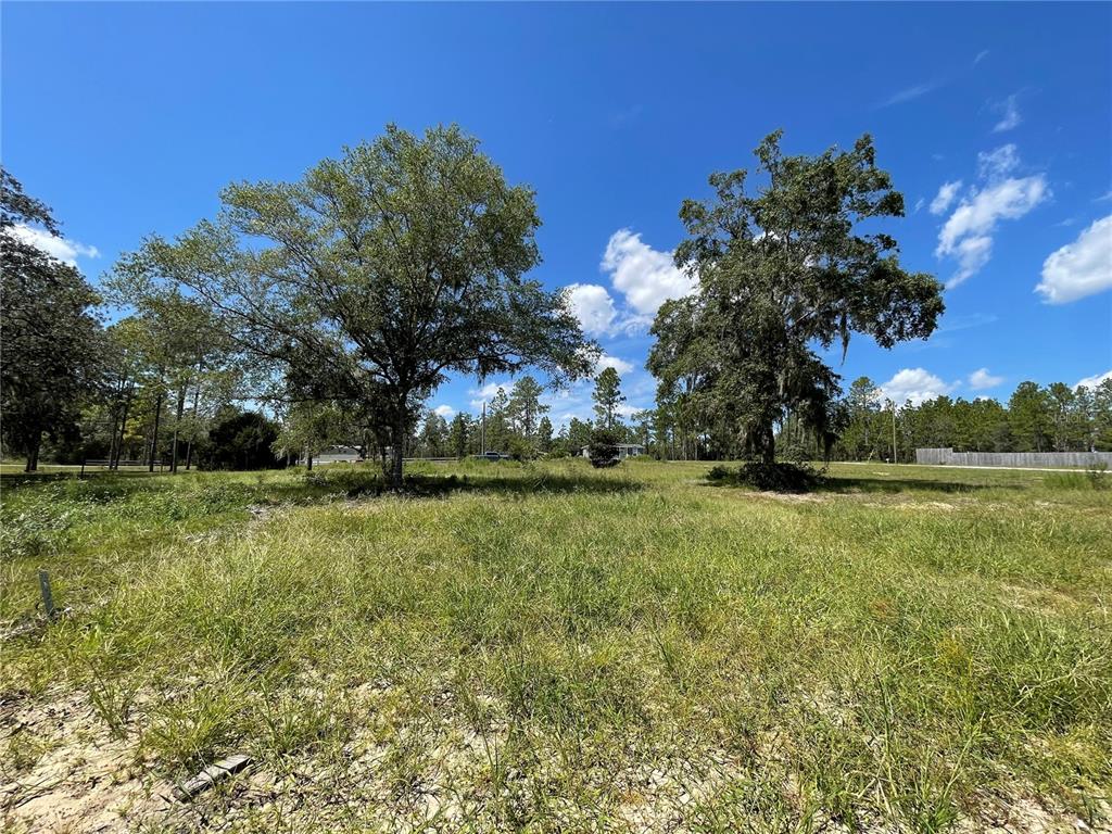 11671 Northeast 103rd Terrace Archer, FL 32618 - Photo 1 of 1 a view of a park