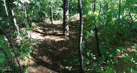 L8 State Route 30 Wells, NY 12190 - Photo 2 of 9 IMG_1101