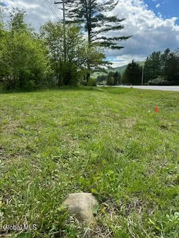 $15,000 | L8 State Route 30, Wells, NY 12190