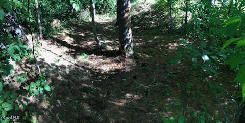 L8 State Route 30 Wells, NY 12190 - Photo 4 of 9 IMG_1102