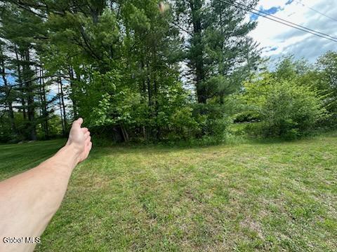 L8 State Route 30 Wells, NY 12190 - Photo 6 of 9 IMG_6801