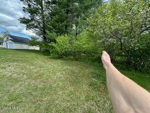 L8 State Route 30 Wells, NY 12190 - Photo 7 of 9 IMG_6802