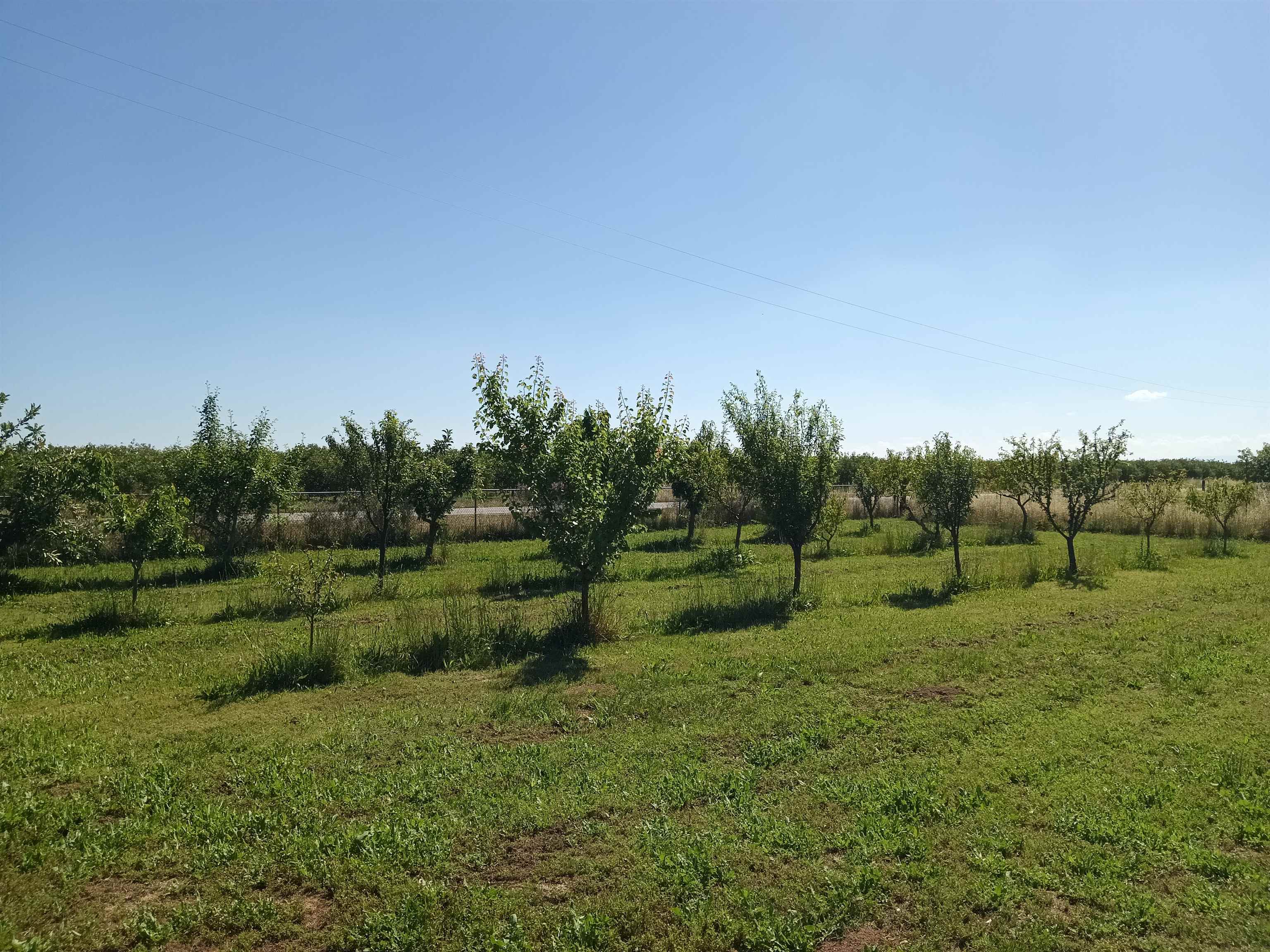 23590 Gyle Road Gerber, CA 96035 - Photo 22 of 29