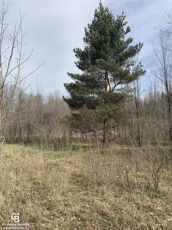Jordan Road Yale, MI 48097 - Photo 13 of 21