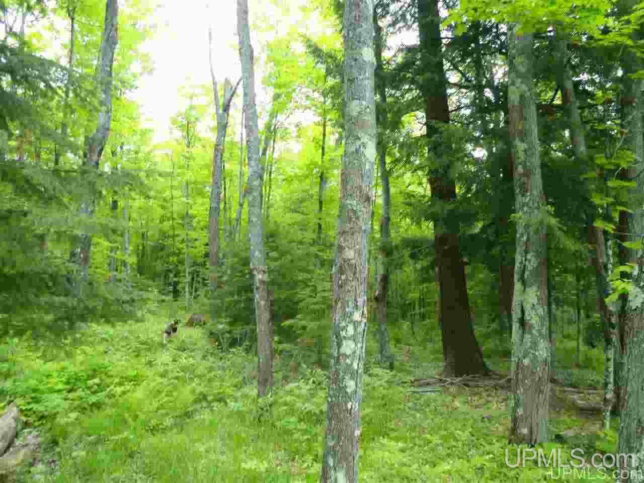 80-acres Dog Patch Road Lanse, MI 49946 - Photo 2 of 50 Gallery Image 2