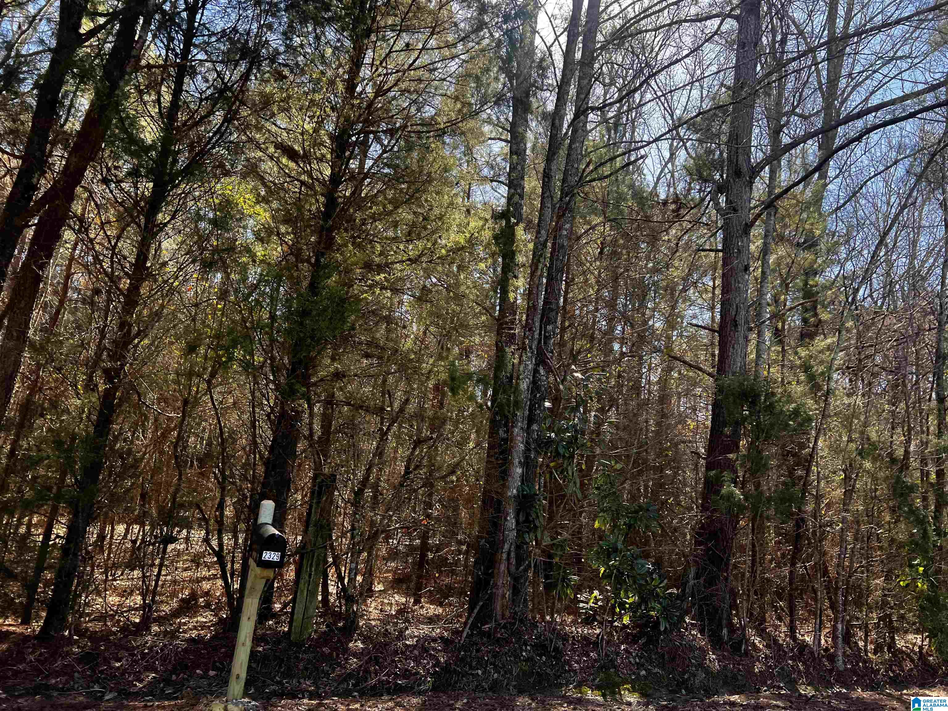 0 Wolf Creek Road North, Unit 10 ACRES Pell City, AL 35125 - Photo 5 of 15