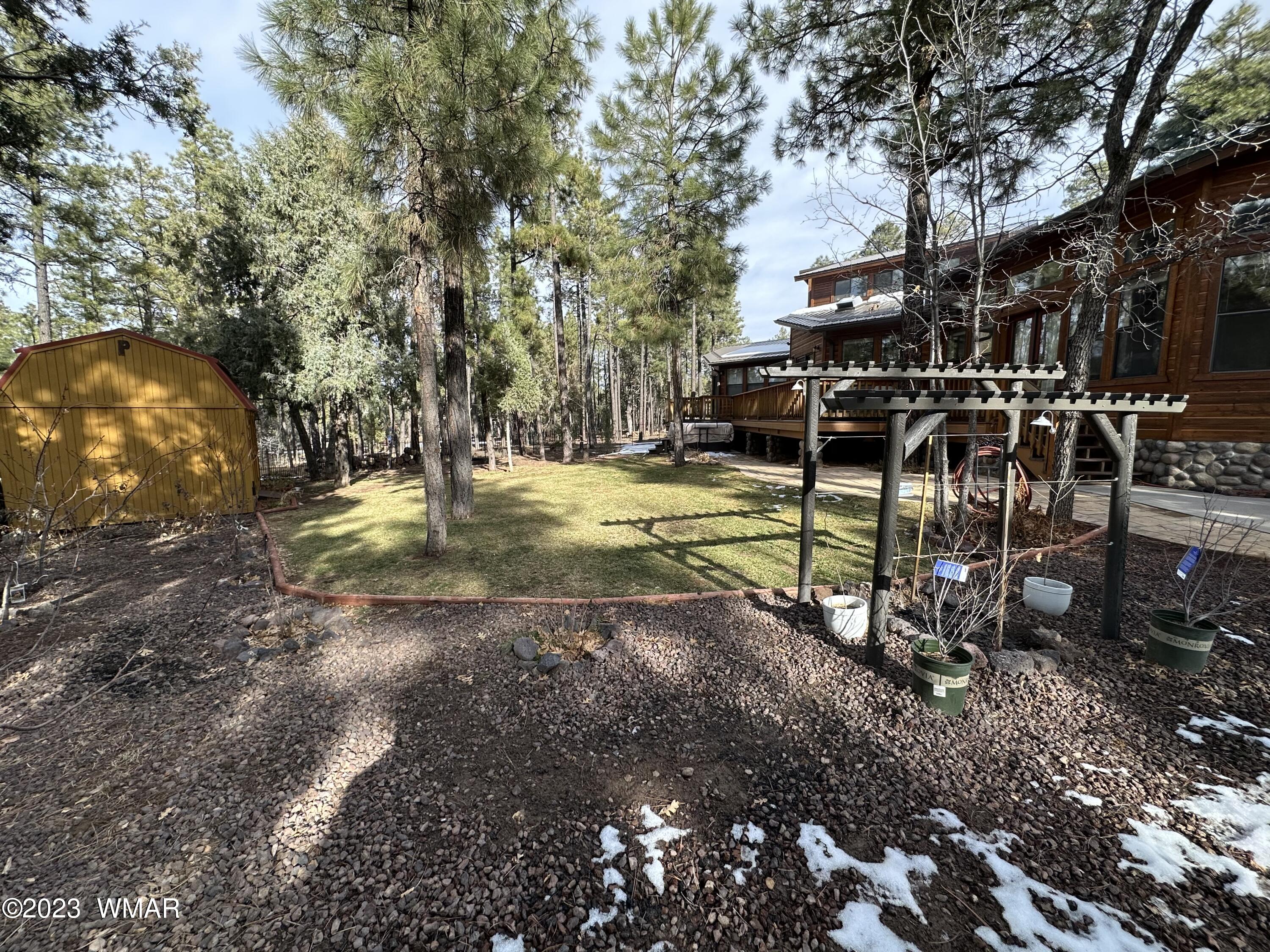 4152 Rim Spur Lakeside, AZ 85929 - Photo 11 of 52
