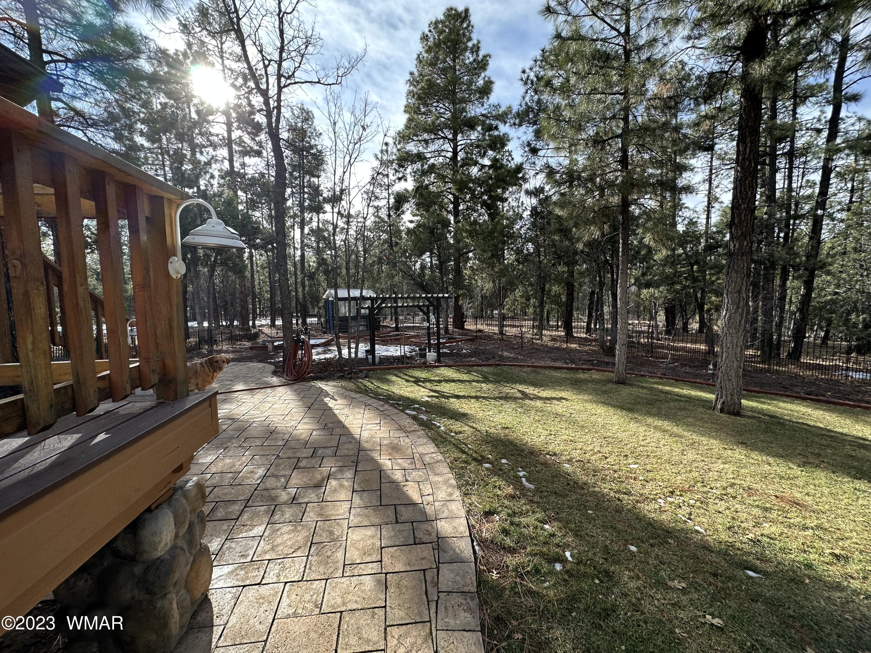 4152 Rim Spur Lakeside, AZ 85929 - Photo 14 of 52