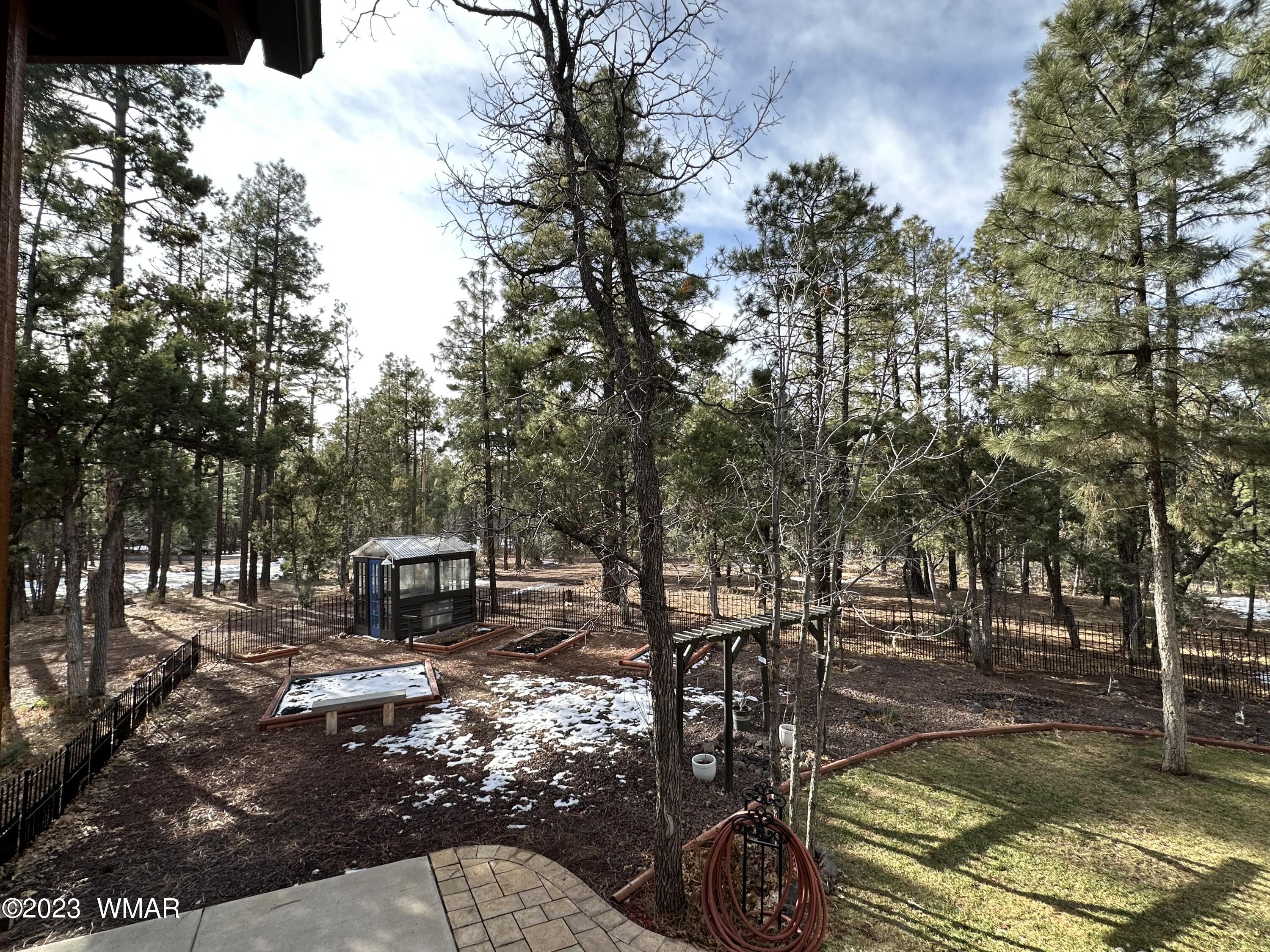 4152 Rim Spur Lakeside, AZ 85929 - Photo 17 of 52