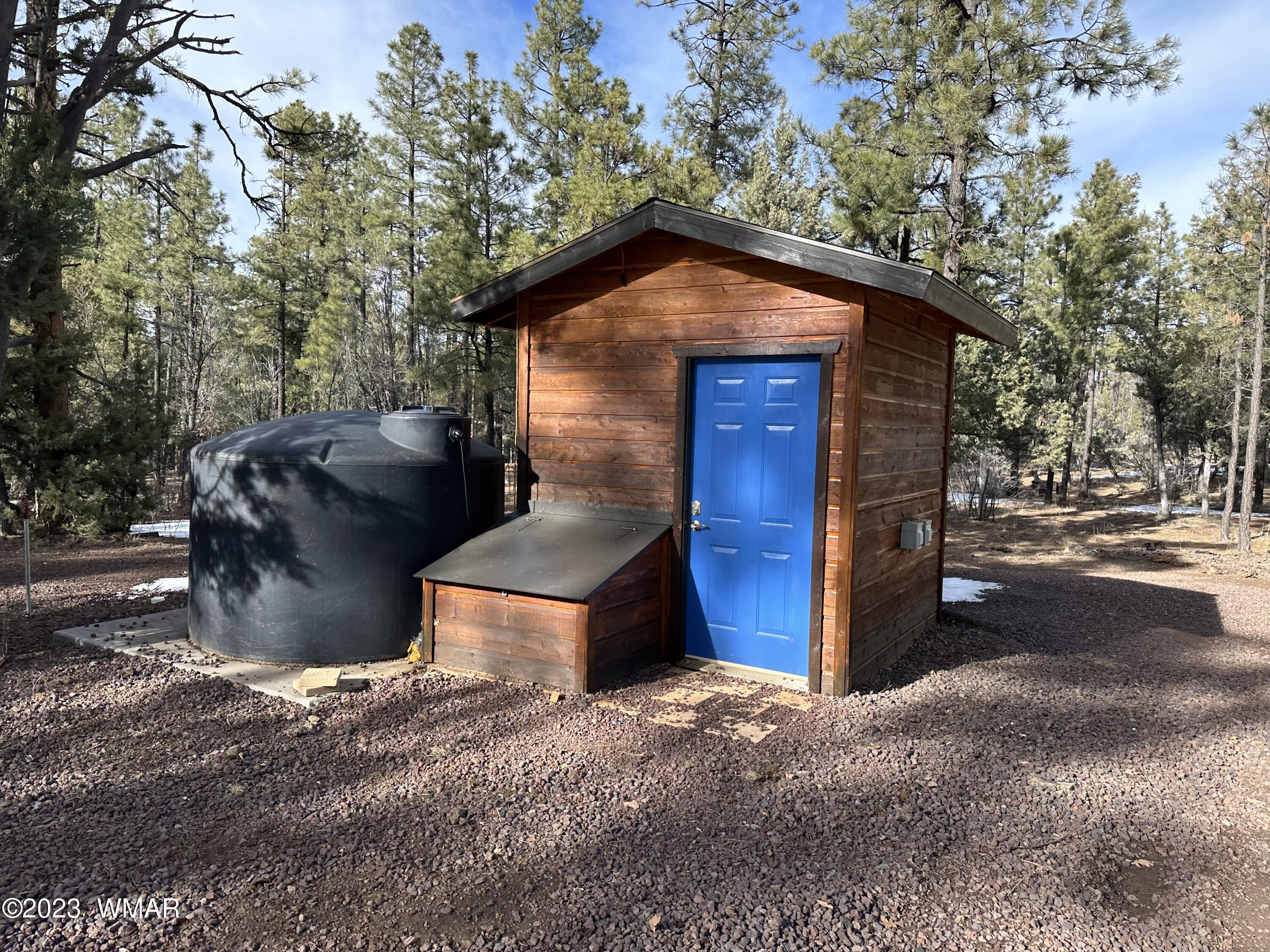 4152 Rim Spur Lakeside, AZ 85929 - Photo 20 of 52