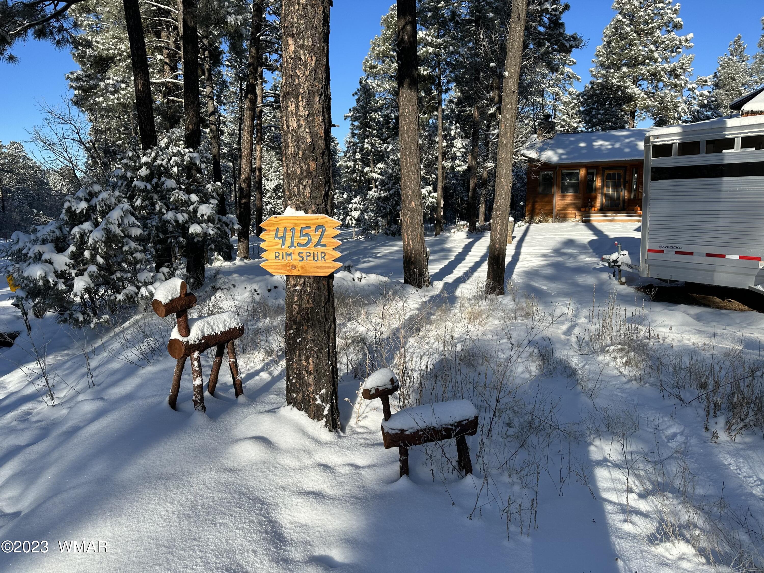 4152 Rim Spur Lakeside, AZ 85929 - Photo 22 of 52