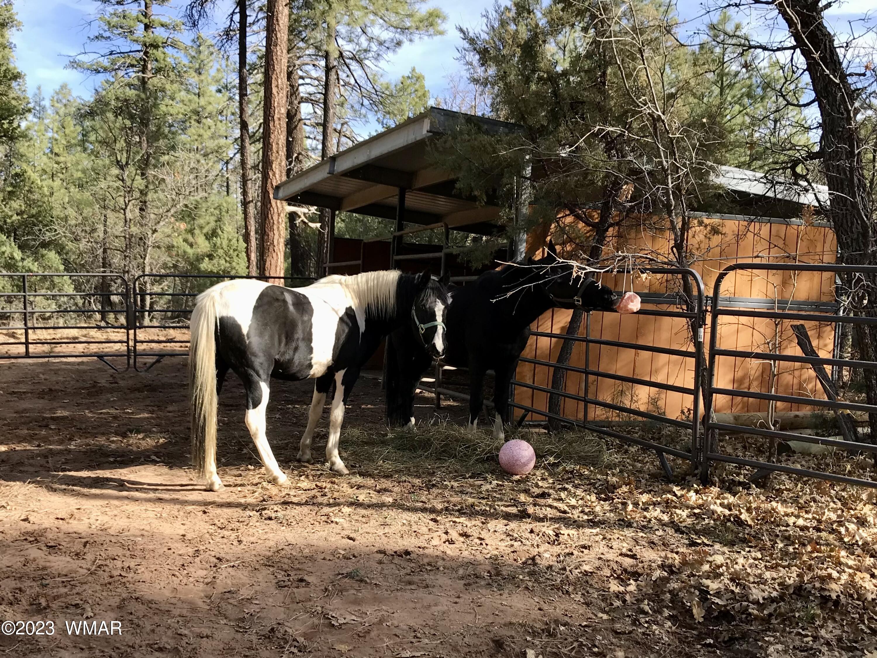 4152 Rim Spur Lakeside, AZ 85929 - Photo 23 of 52