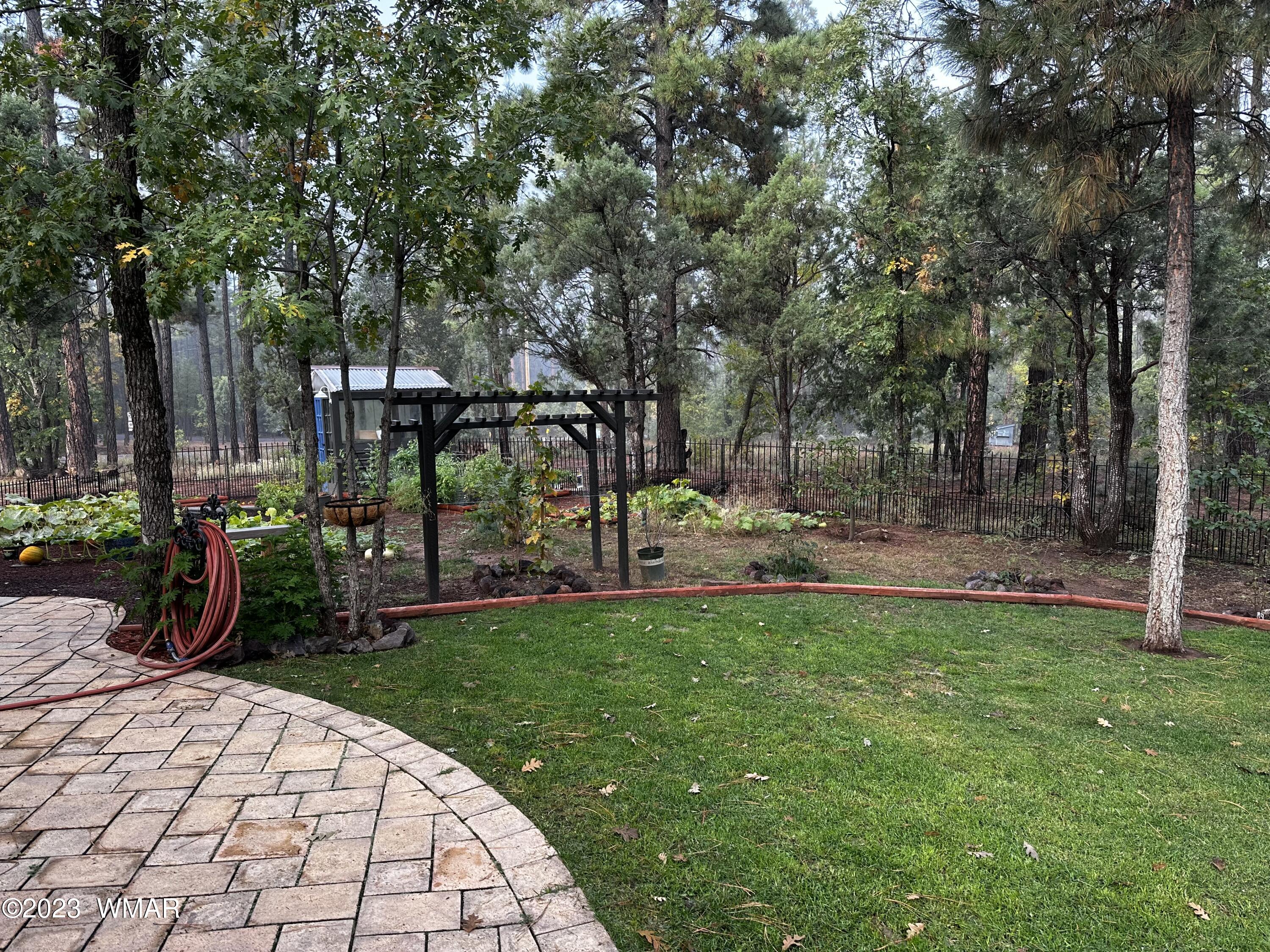4152 Rim Spur Lakeside, AZ 85929 - Photo 8 of 52
