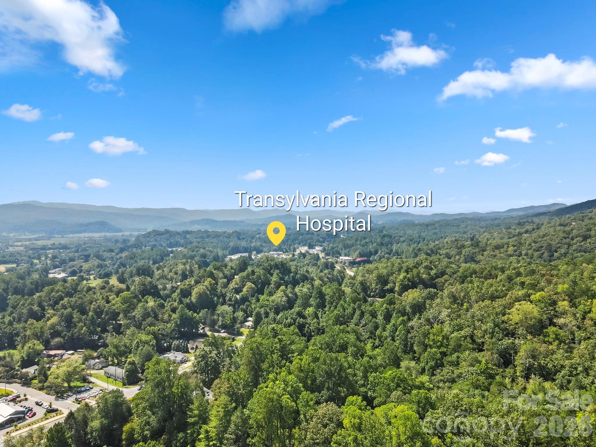 71 Laurel Mountain Road Brevard, NC 28712 - Photo 4 of 44