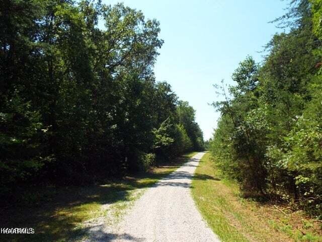 7 George Drive Deer Lodge, TN 37726 - Photo 7 of 9 20230824194227775751000000-o