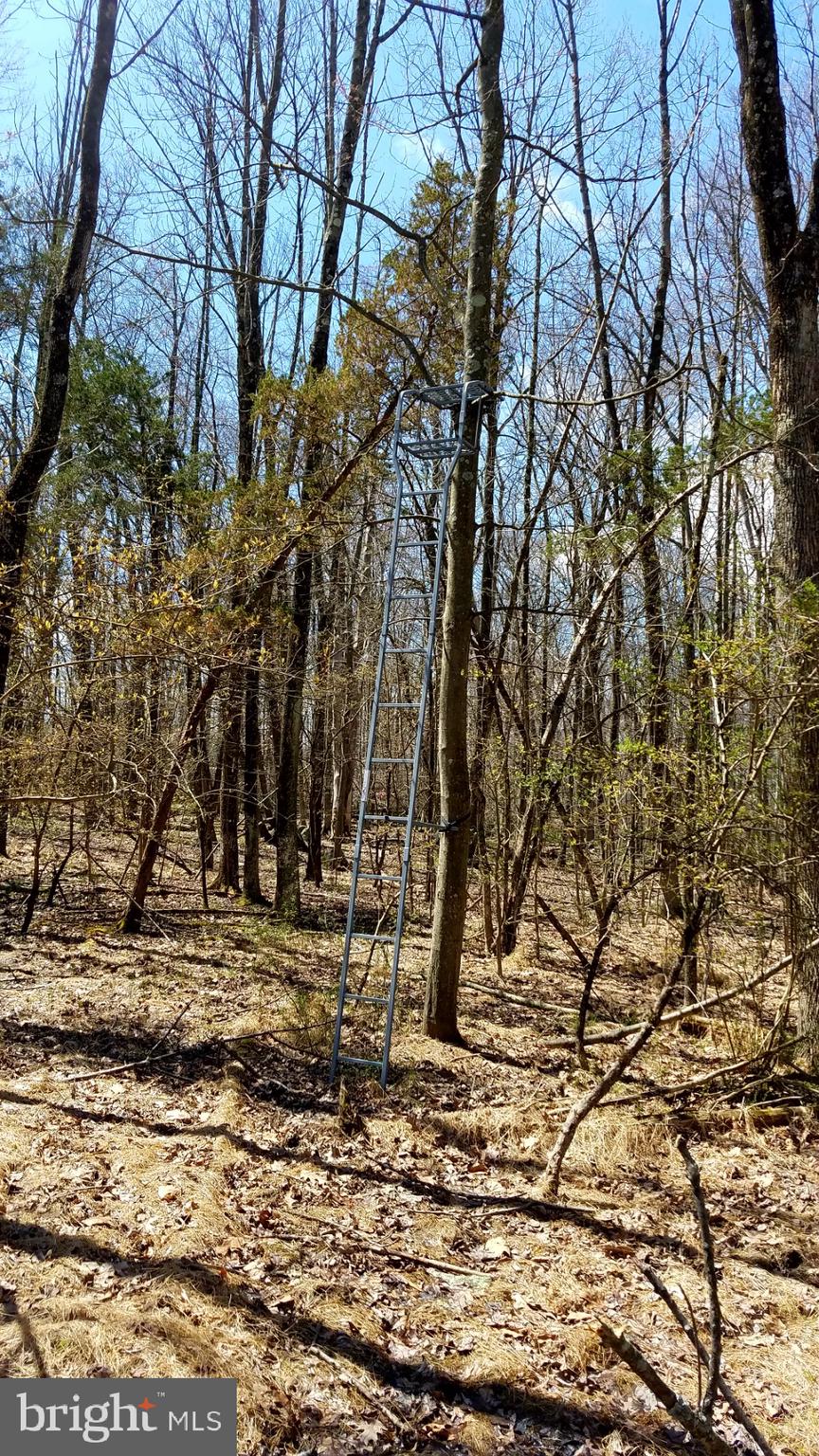 4000 Upper Ridge Road Pennsburg, PA 18073 - Photo 2 of 18