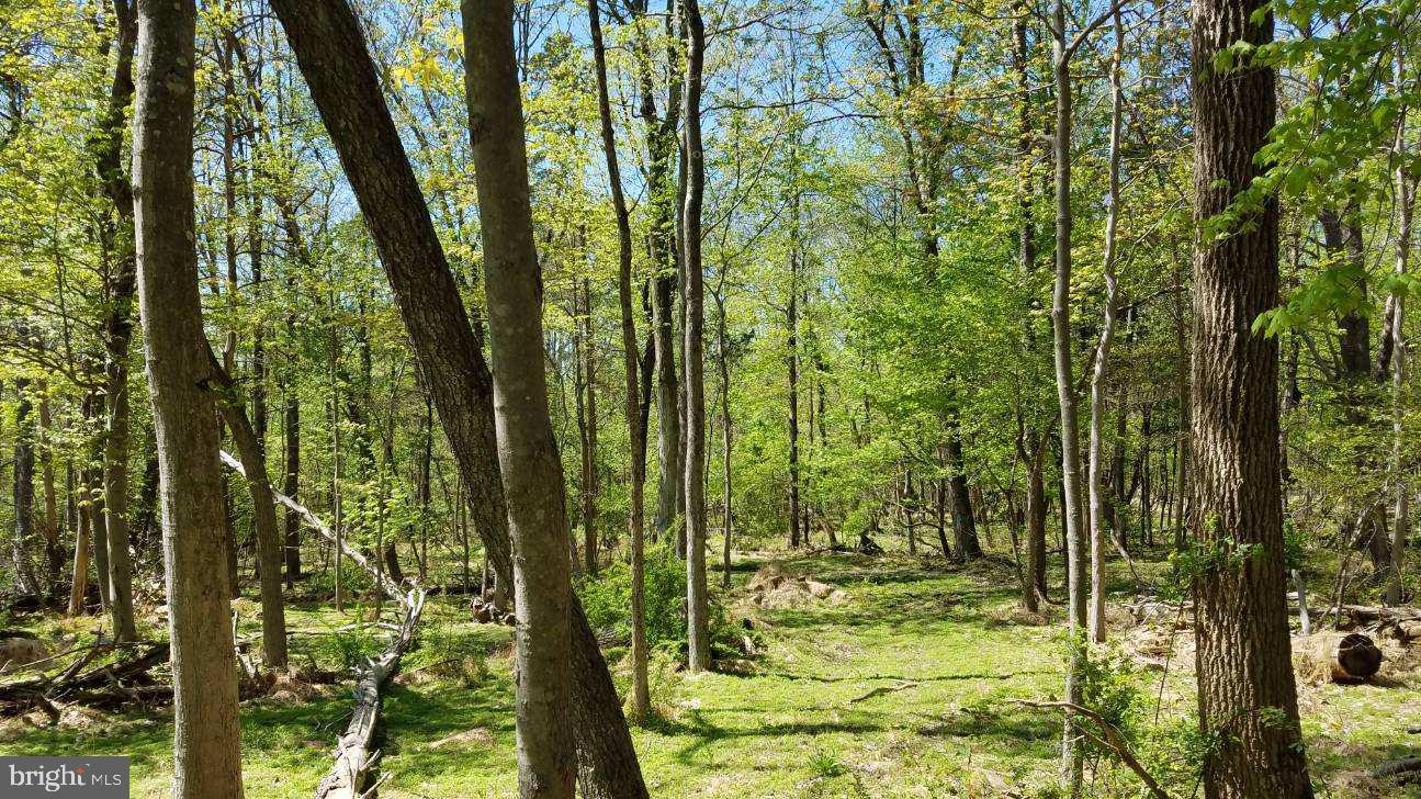 4000 Upper Ridge Road Pennsburg, PA 18073 - Photo 3 of 18