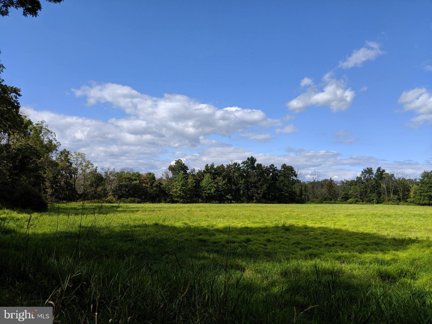 4000 Upper Ridge Road Pennsburg, PA 18073 - Photo 8 of 18