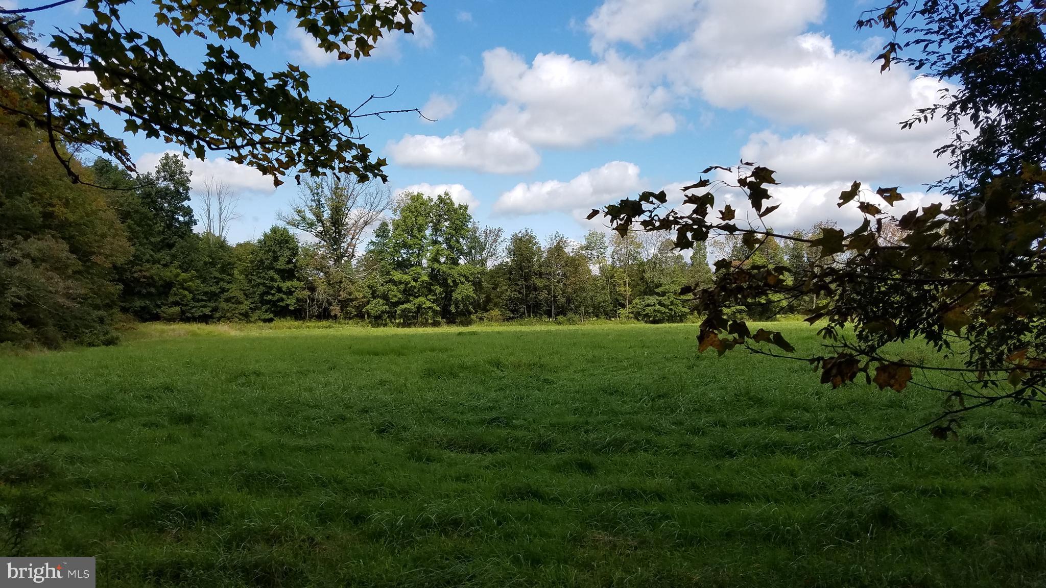 4000 Upper Ridge Road Pennsburg, PA 18073 - Photo 9 of 18
