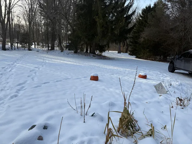 $375,000 | 3766 Abbottsford Road, North Street, MI 48049